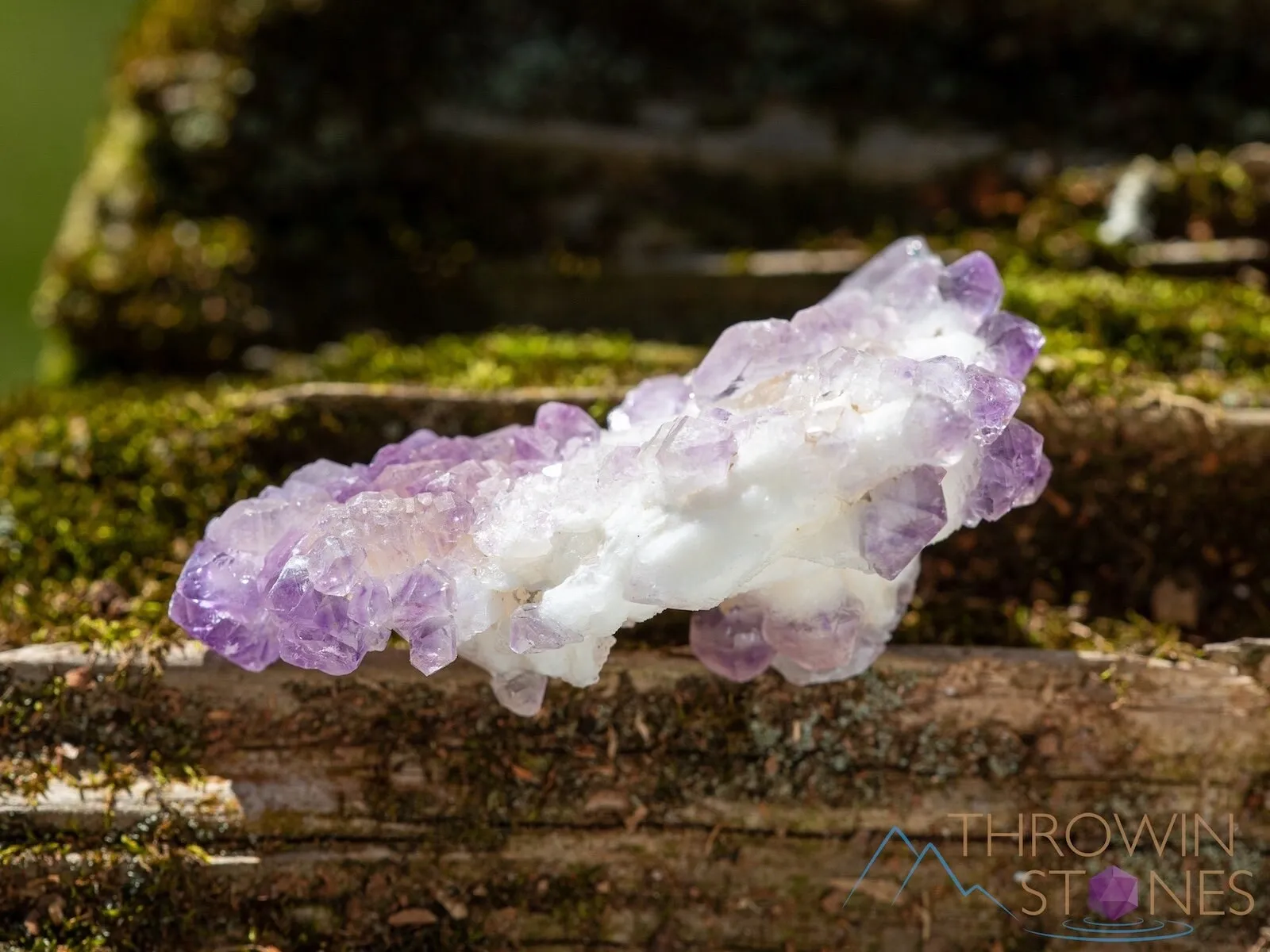 AMETHYST Raw Crystal Cluster - Birthstone, Unique Gift, Home Decor, Boho Decor, 39946